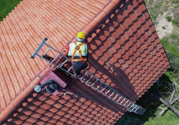 Best Roof Inspection  in USA